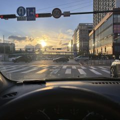 운전연수는 필수 입니다