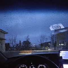 혼잡한 출퇴근 시간 피하고 싶었어요