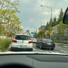 버스 타는 게 너무 힘들었어요 후기 이미지