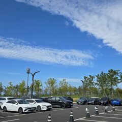 주차 필수 교육도 잘 받았어요 후기 이미지