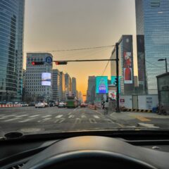 가족 탐방으로 시작한 운전 후기 이미지