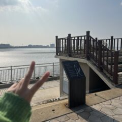 주말 활동은 이제 편해요 후기 이미지