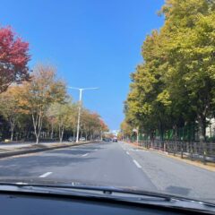 서행 운전 훈련 완료 후기 이미지