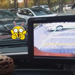 트럭 차선 긴장 후기 이미지